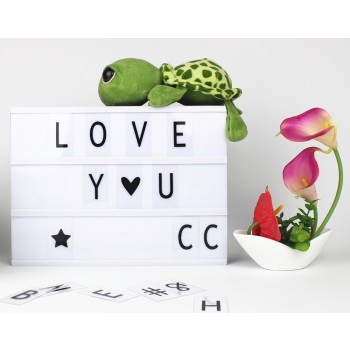 LED Cinematic Light Box with DIY 90 PCS BLACK Letters Cards A4 Size 